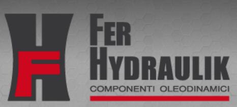 FER logo